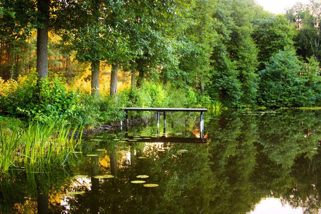 Hotel Niedzwiadek Wdzydze Kiszewskie Bagian luar foto